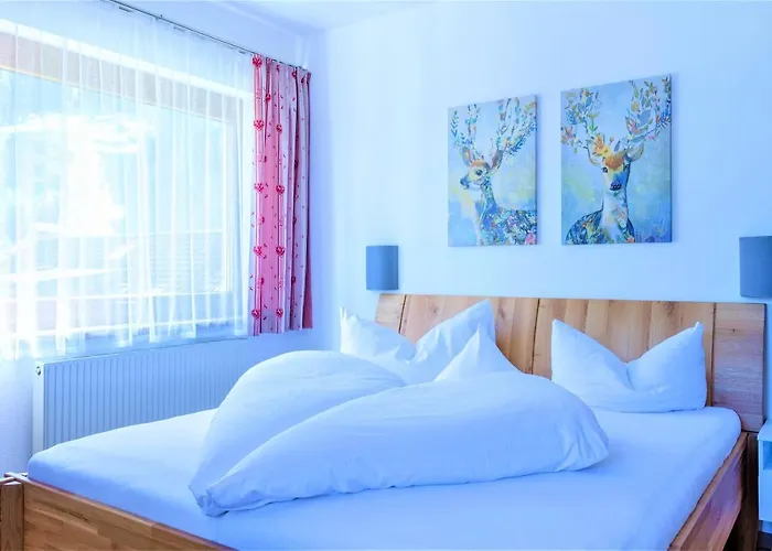 Bed & Breakfast Schneider 3*